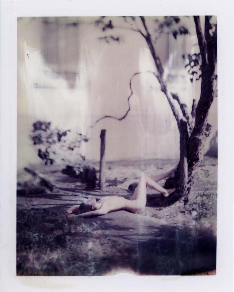 Untitled Untitled